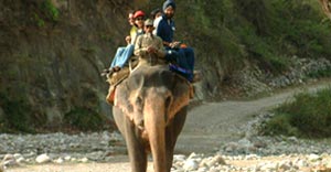 best time and month for jim corbett elephant safari-2024