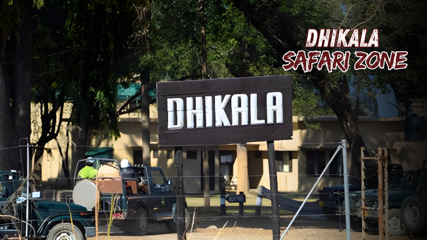 dhikala zone safari booking