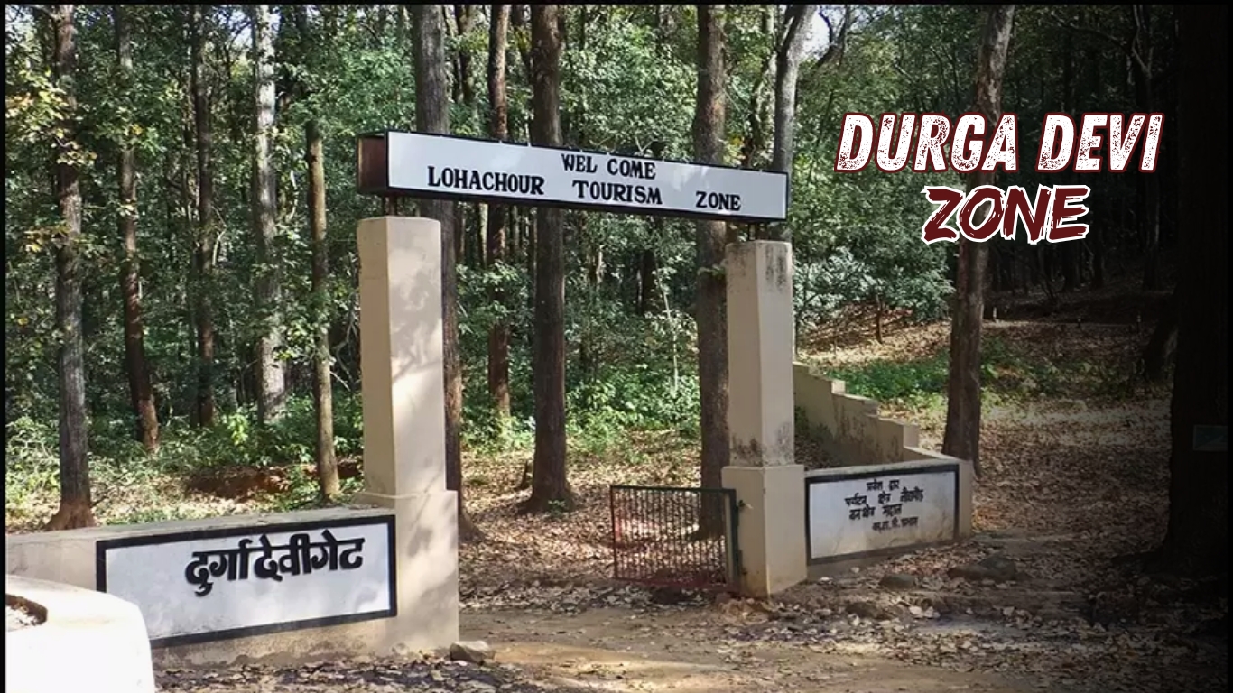 durgadevi zone safari booking