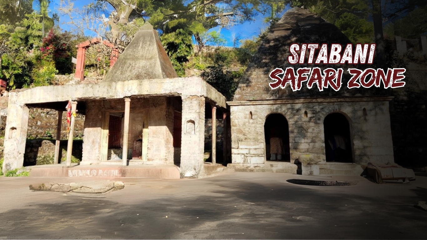 Sitabani zone safari booking