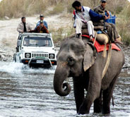 jim corbett - neem karoli  packages from delhi